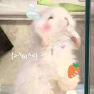 いて🍧