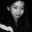 小y总