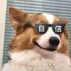 凉笙墨染