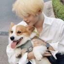 努力上进的徐🎉🍬🍰🍧🍔