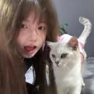 不吃