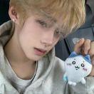 土豆你个马铃薯🥔