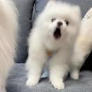 是一凡呀～
