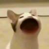 AAAゆ久醉绕心弦