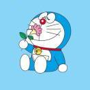J.C.Y