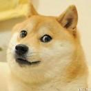 爱你