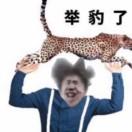 举豹了