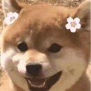 Ther