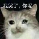 啊海