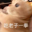 文建东