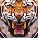 REXJJYY