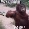 染.