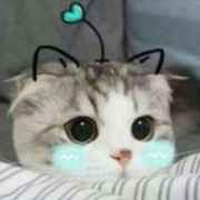 💕李ℒℴѵℯ赵℘࿐