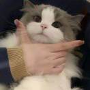唤欣