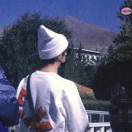 鹿