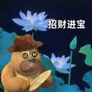 姚不可及