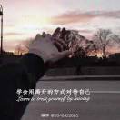 爱睡觉的我