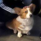 林煜