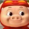 🐷