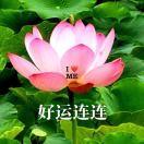 咸瓜大王