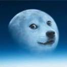 󠀀󠀀󠀀󠀀󠀀󠀀 月球之狗