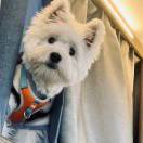 落一场极光味的雨