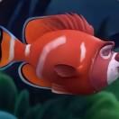 小鱼🐟