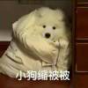 陆沉你什么时候回家