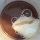 蛙趣