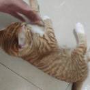 凡事尽力无怨无悔