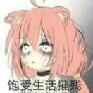 一页纸