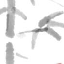 .余黍白