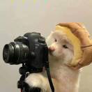 吃饭冠军的饲养员