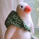王海菁
