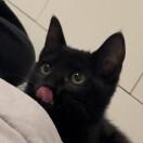 =w=