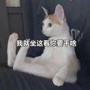 银烛流萤