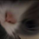 。。