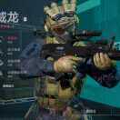 CODM.常泰
