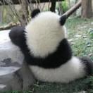 一个卖书的