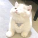 圣母.