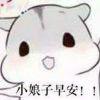 小萝卜