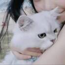 代林