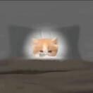 人