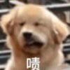 江学友