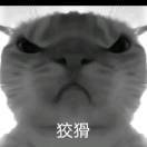 紫凝
