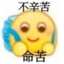 泰肝啦
