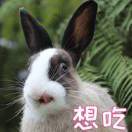 吃素还那么胖