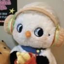 江风