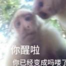 好梦