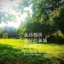 森林